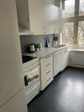 Big and Nice apartment in Oslo City center